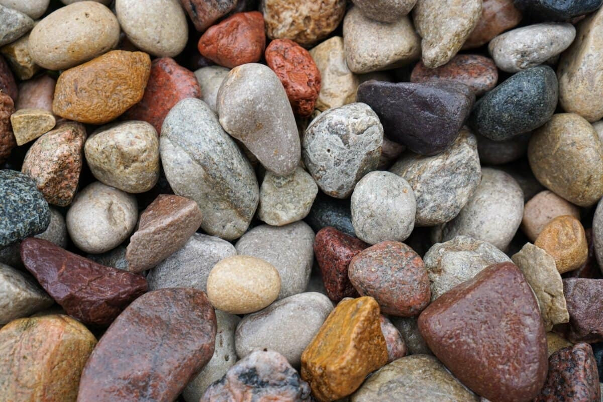 American Heritage Large