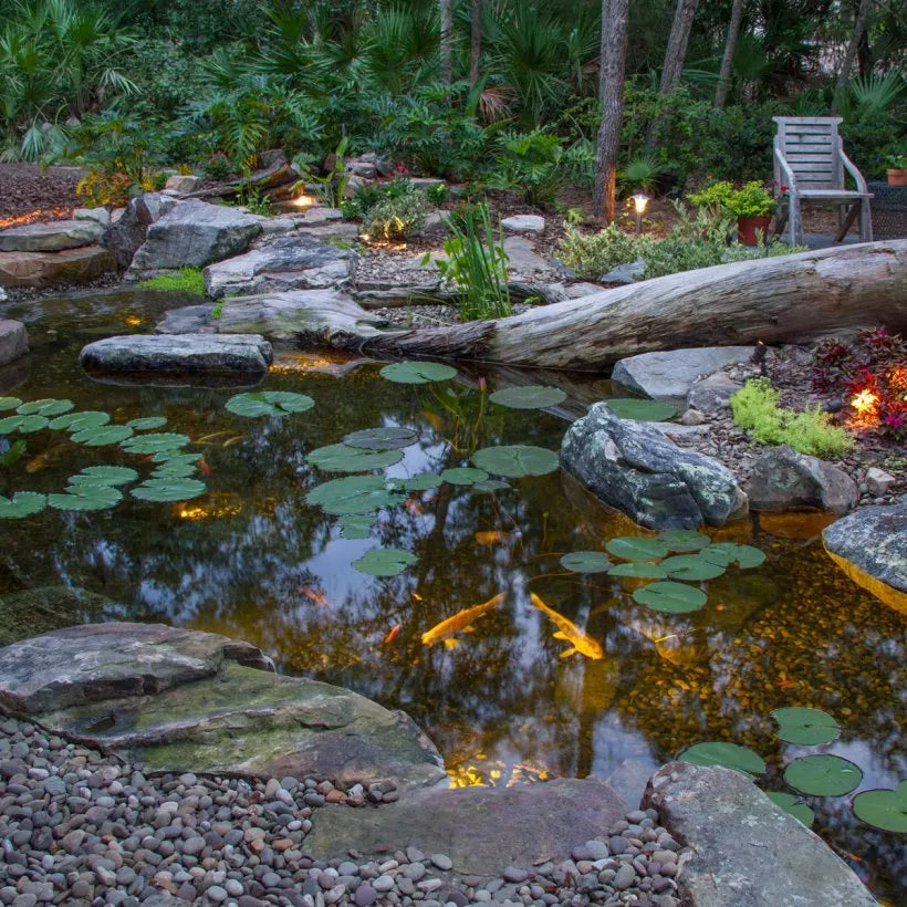 Aquascape LARGE DELUXE POND KIT 21' X 26' W/AQUASURGE 4000-8000 ADJUSTABLE FLOW POND PUMP