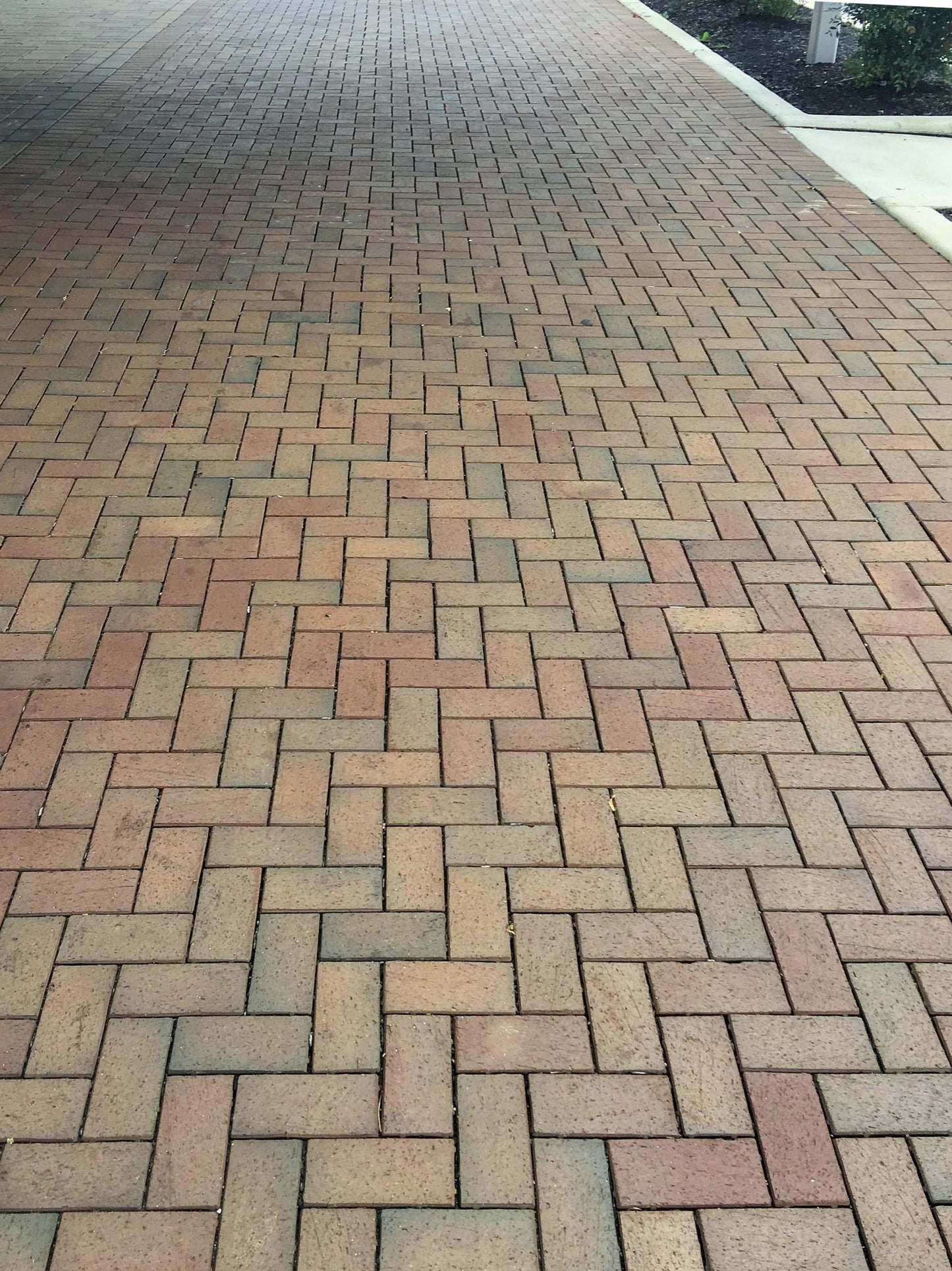 Pine Hall Brick English Edge® Cocoa (chocolate flash)