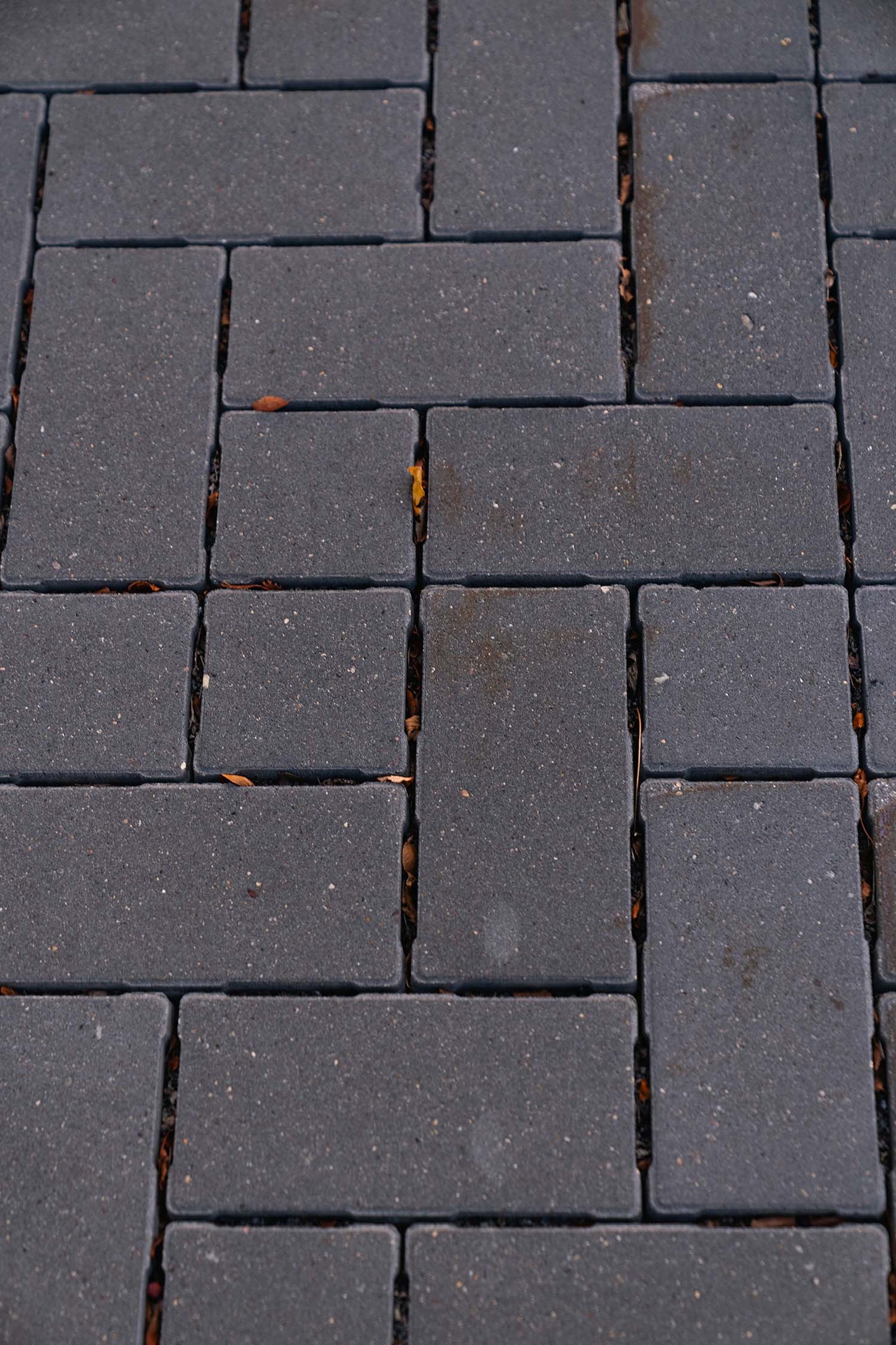 Pavers : ROCHESTER HOLLAND ECO MOONLIGHT GRAY FM