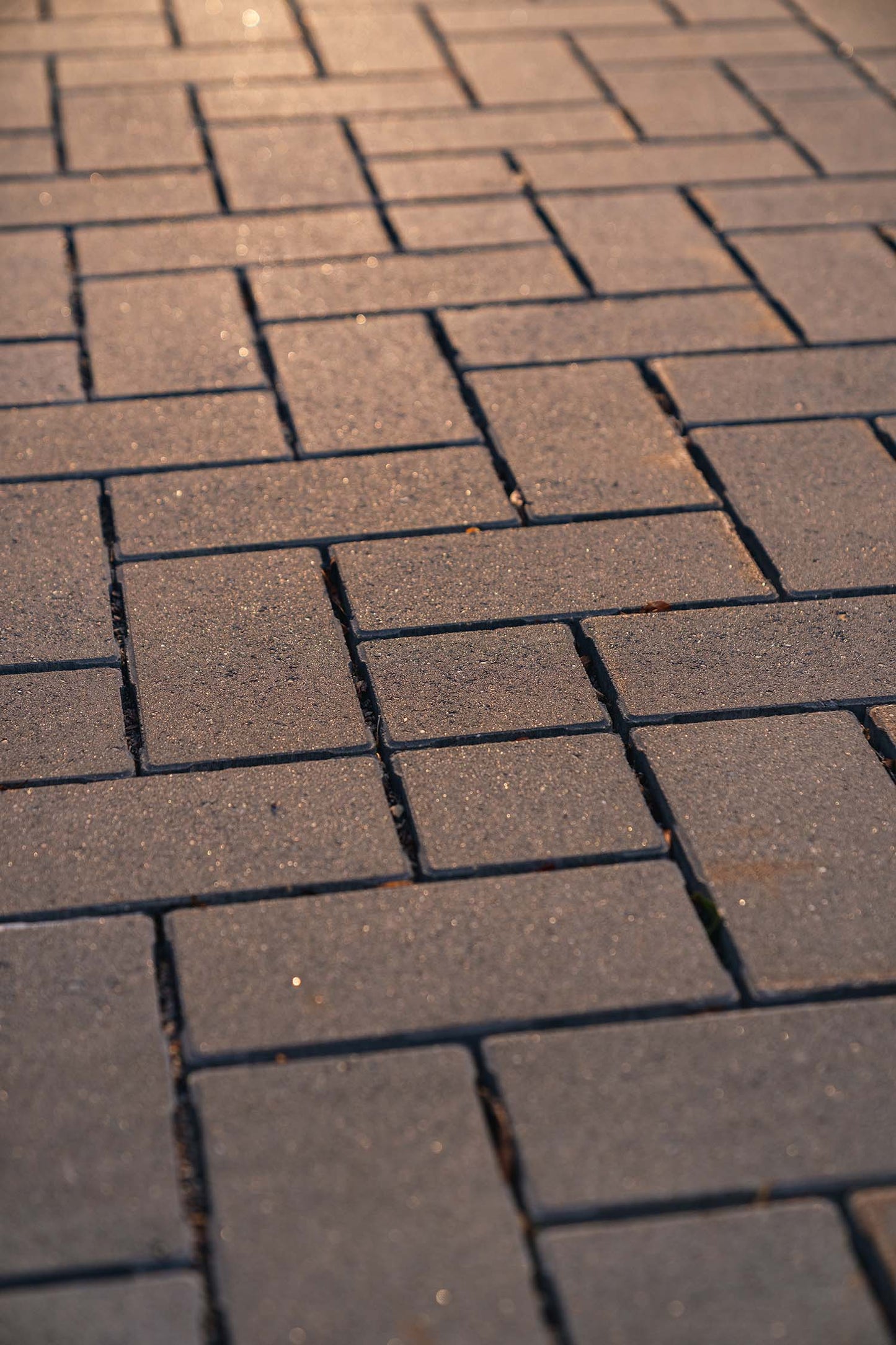 Pavers : ROCHESTER HOLLAND ECO BCHWD CHROMA FM
