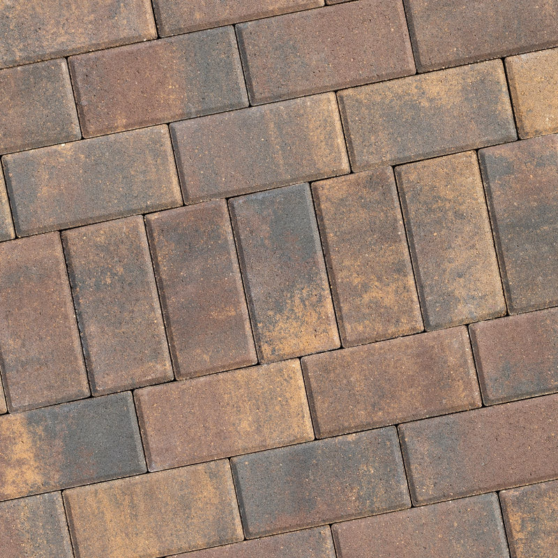 Pavers : ROCHESTER HOLLAND 6CM BEECHWOOD FM
