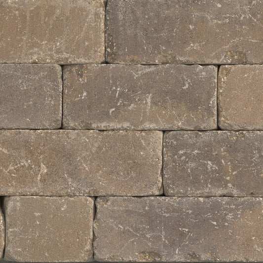 Belgard Gascony Tan Weston 3-Piece Paver Paver