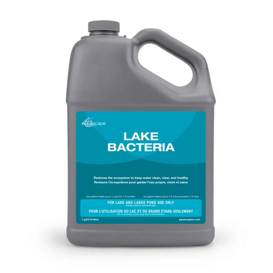 Aquascape LAKE BACTERIA - 1 GAL / 3.78 L