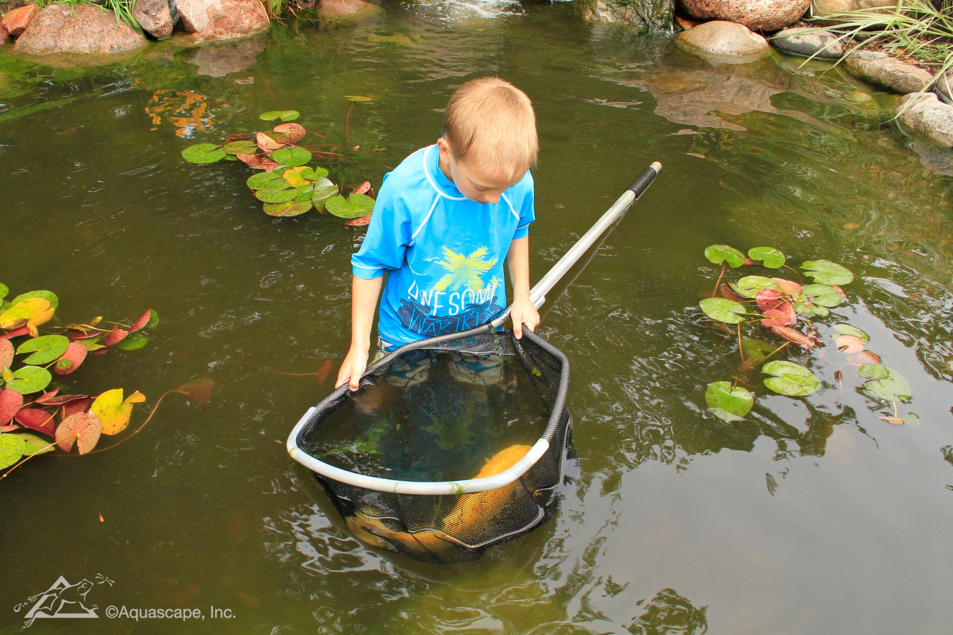 Aquascape PROFESSIONAL GRADE POND NET