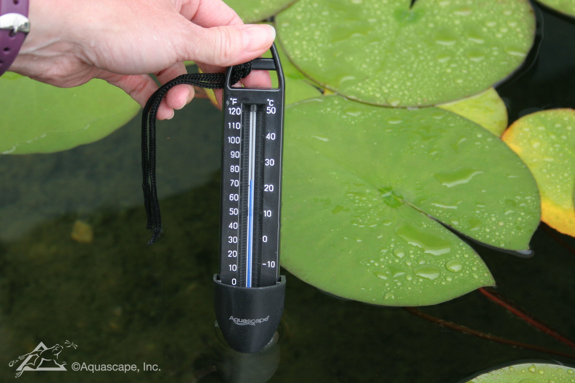 Aquascape SUBMERSIBLE POND THERMOMETER