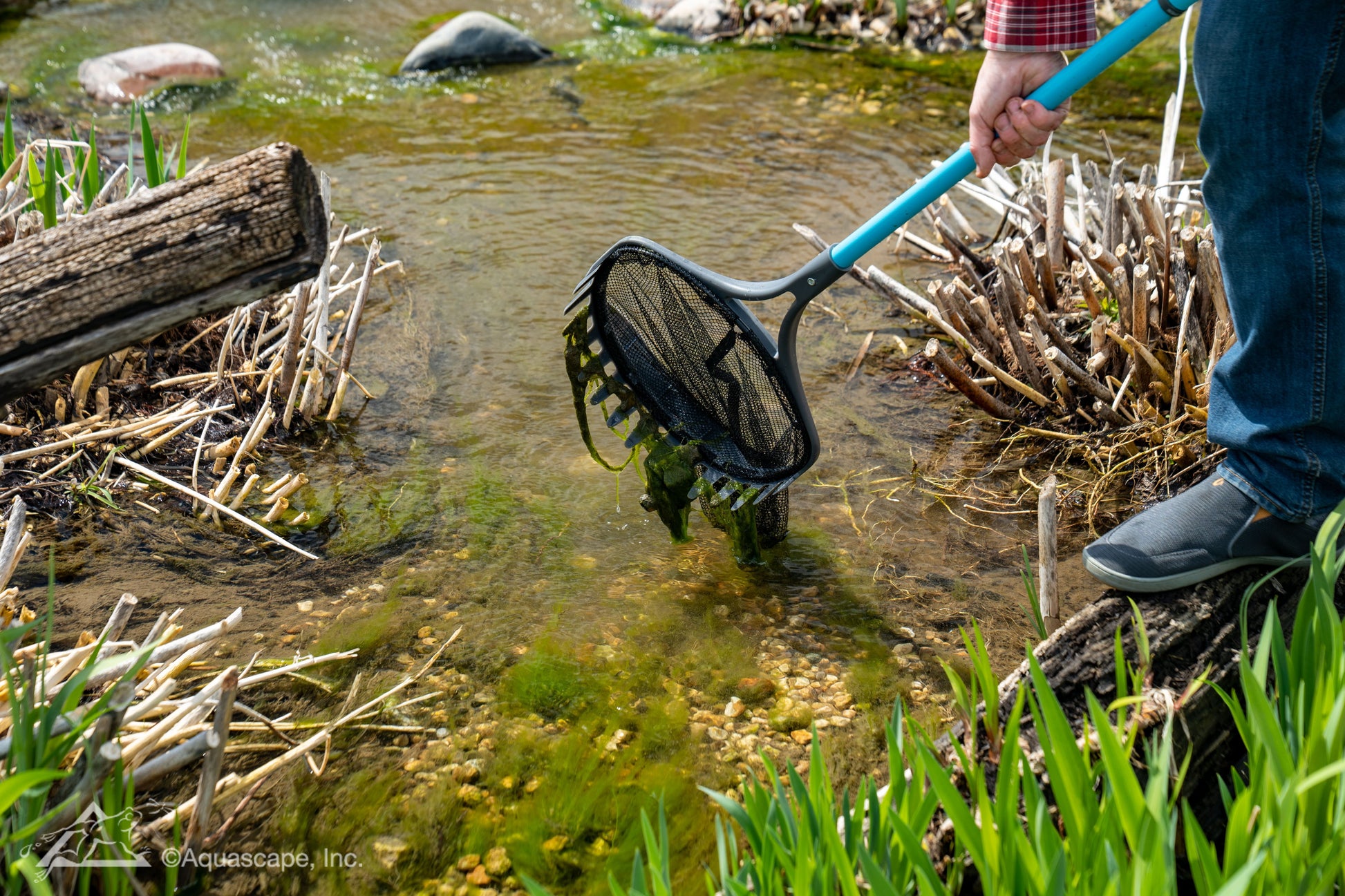 Aquascape POND SHARK