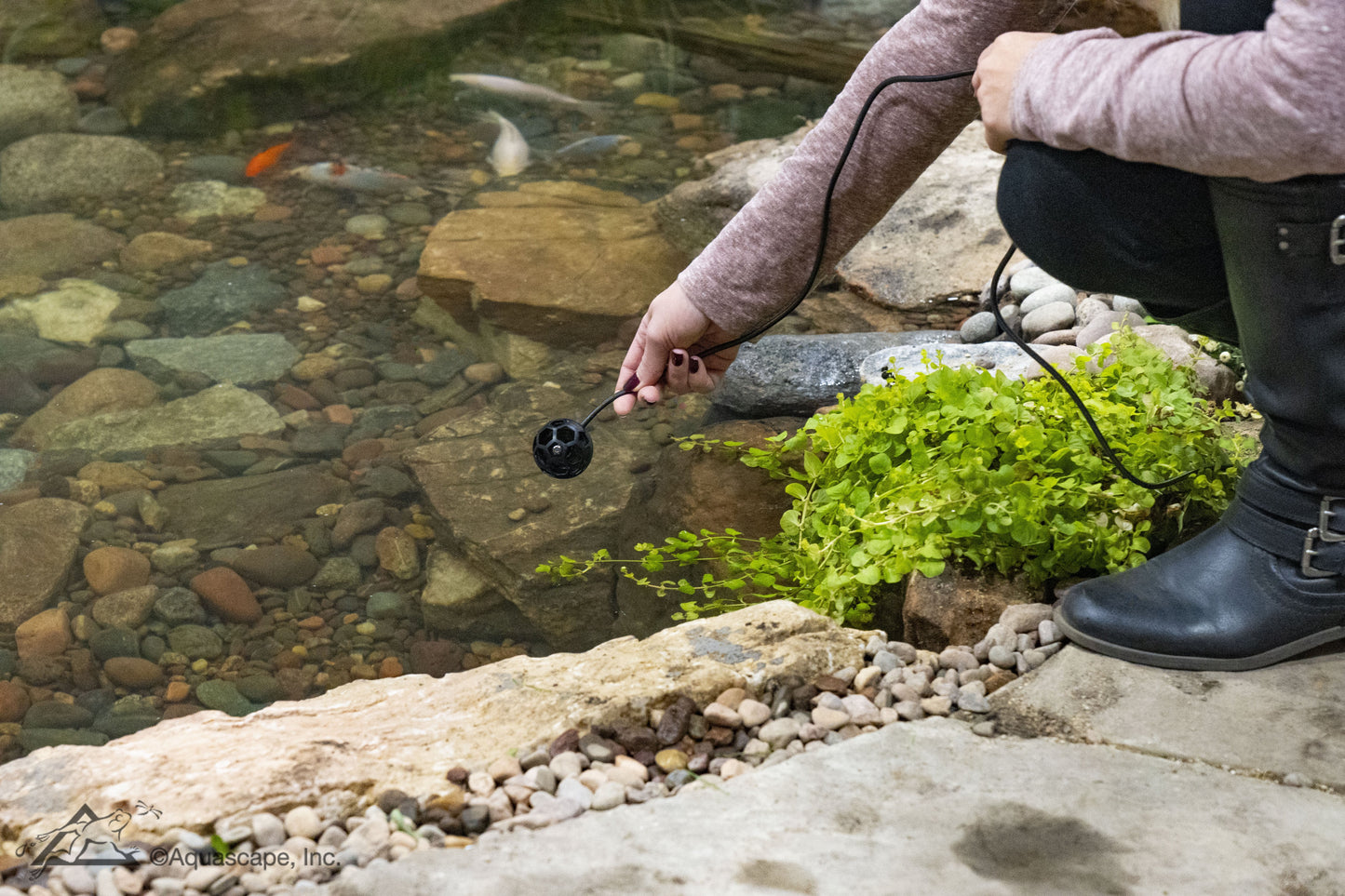 Aquascape SMART POND THERMOMETER