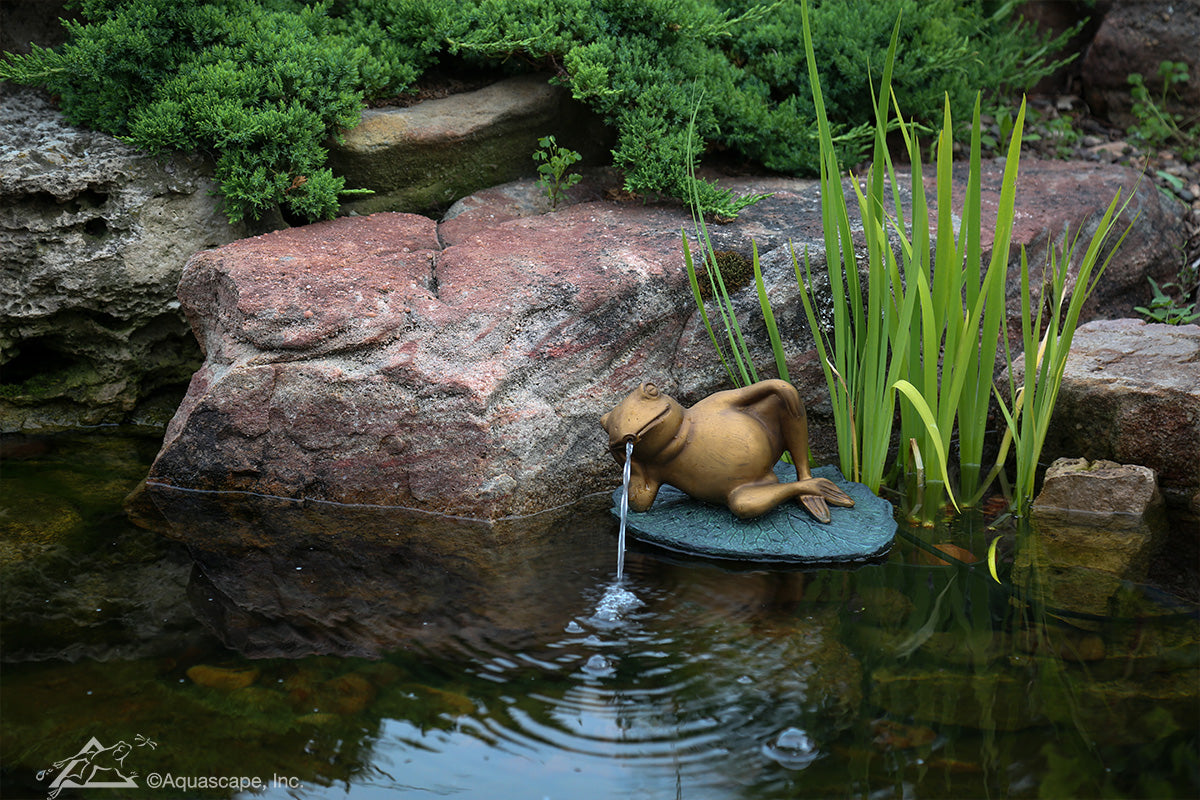 Aquascape LAZY FROG ON LILY PAD SPITTER