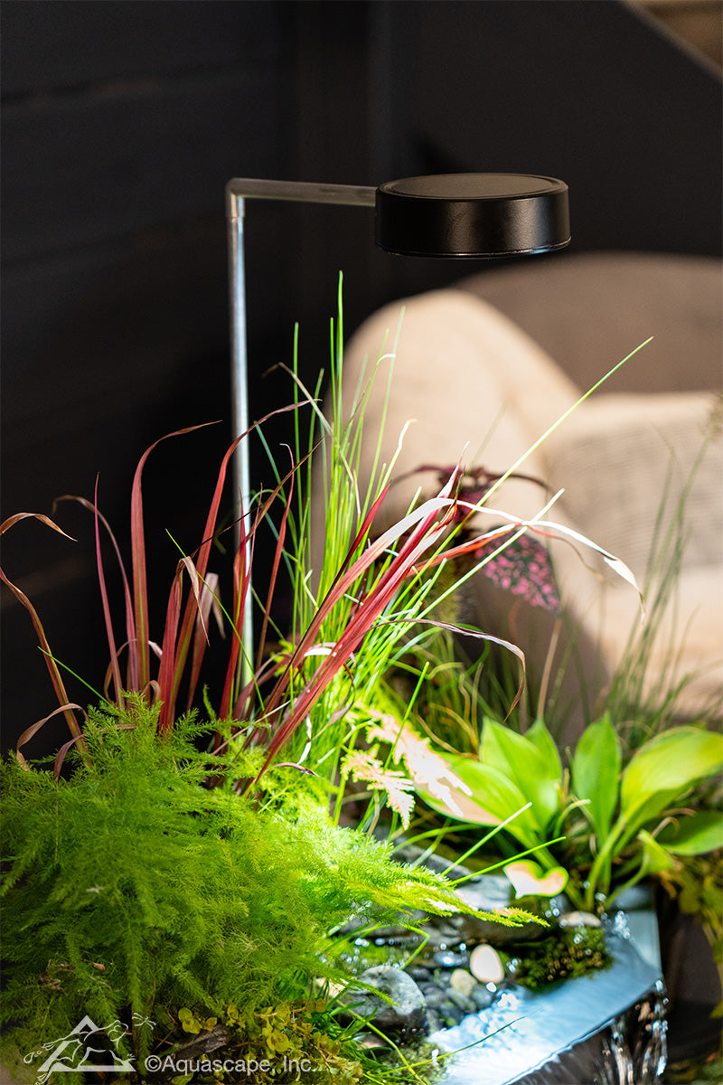Aquascape AQUAGARDEN PLANT LIGHT