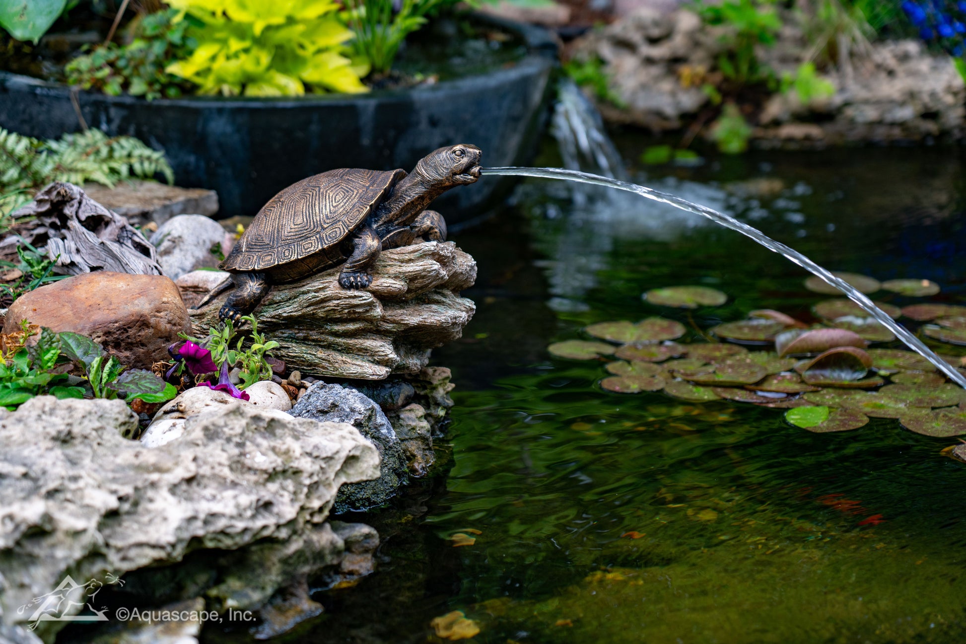 Aquascape TURTLE ON LOG SPITTER