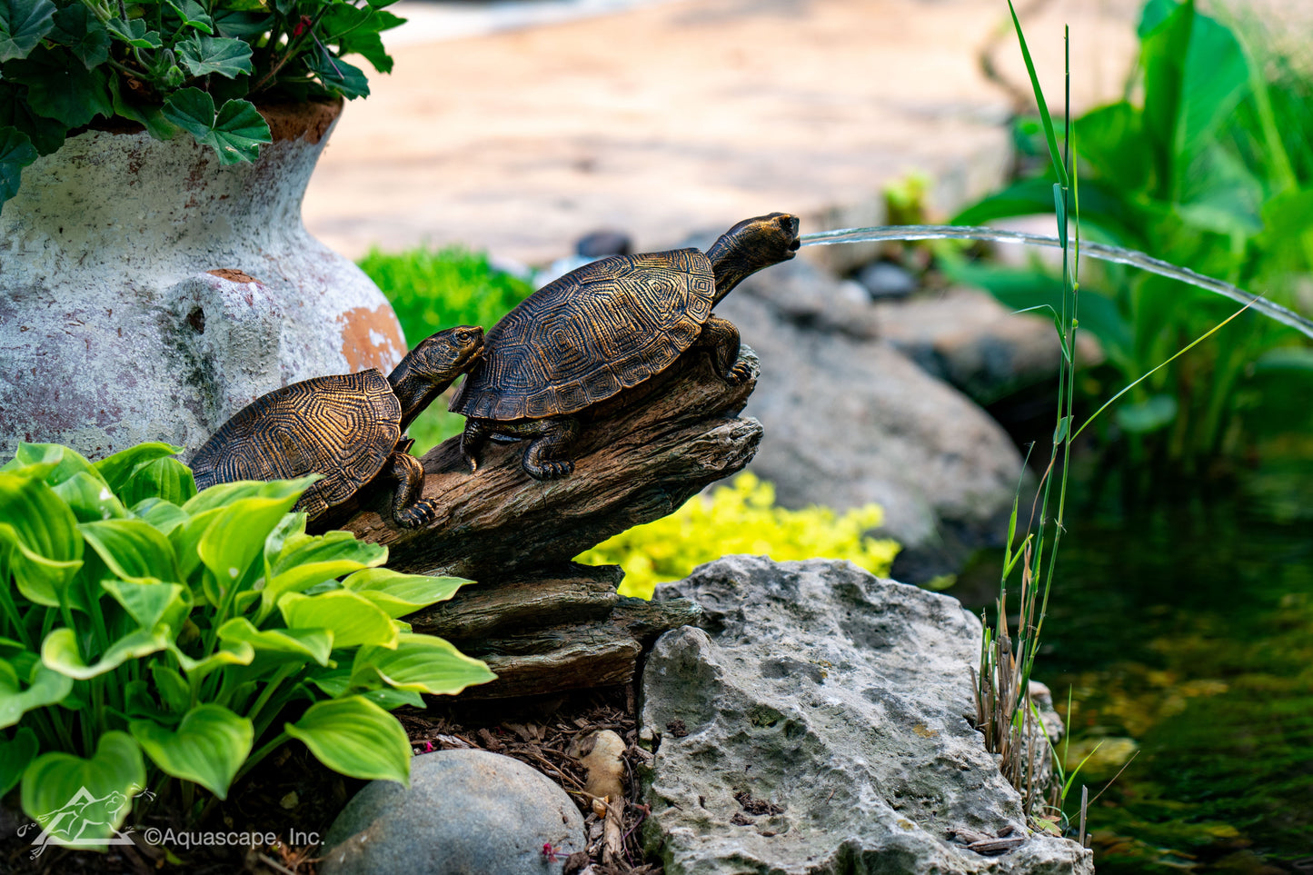 Aquascape DOUBLE TURTLE ON LOG SPITTER