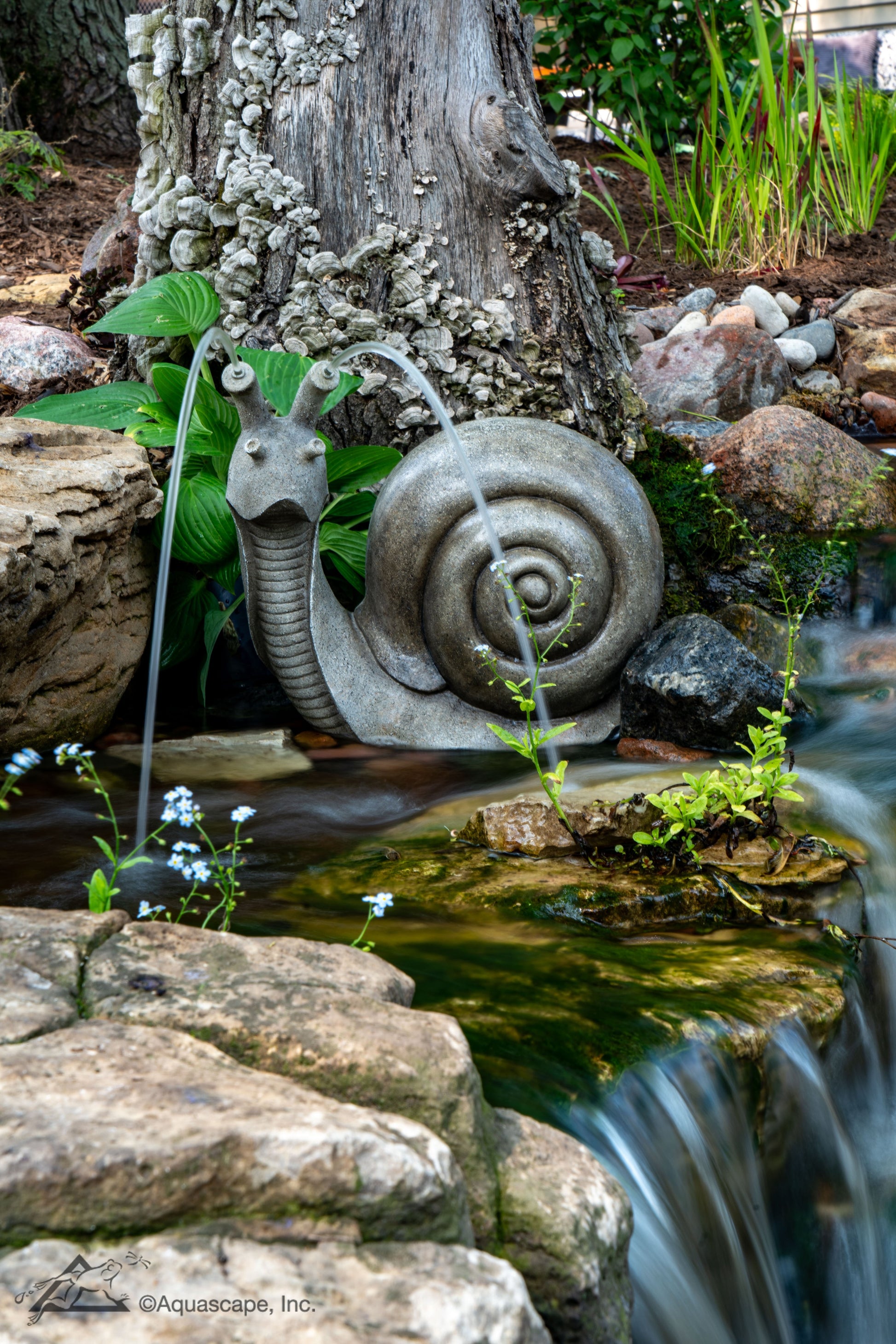 Aquascape SILLY SNAIL SPITTER