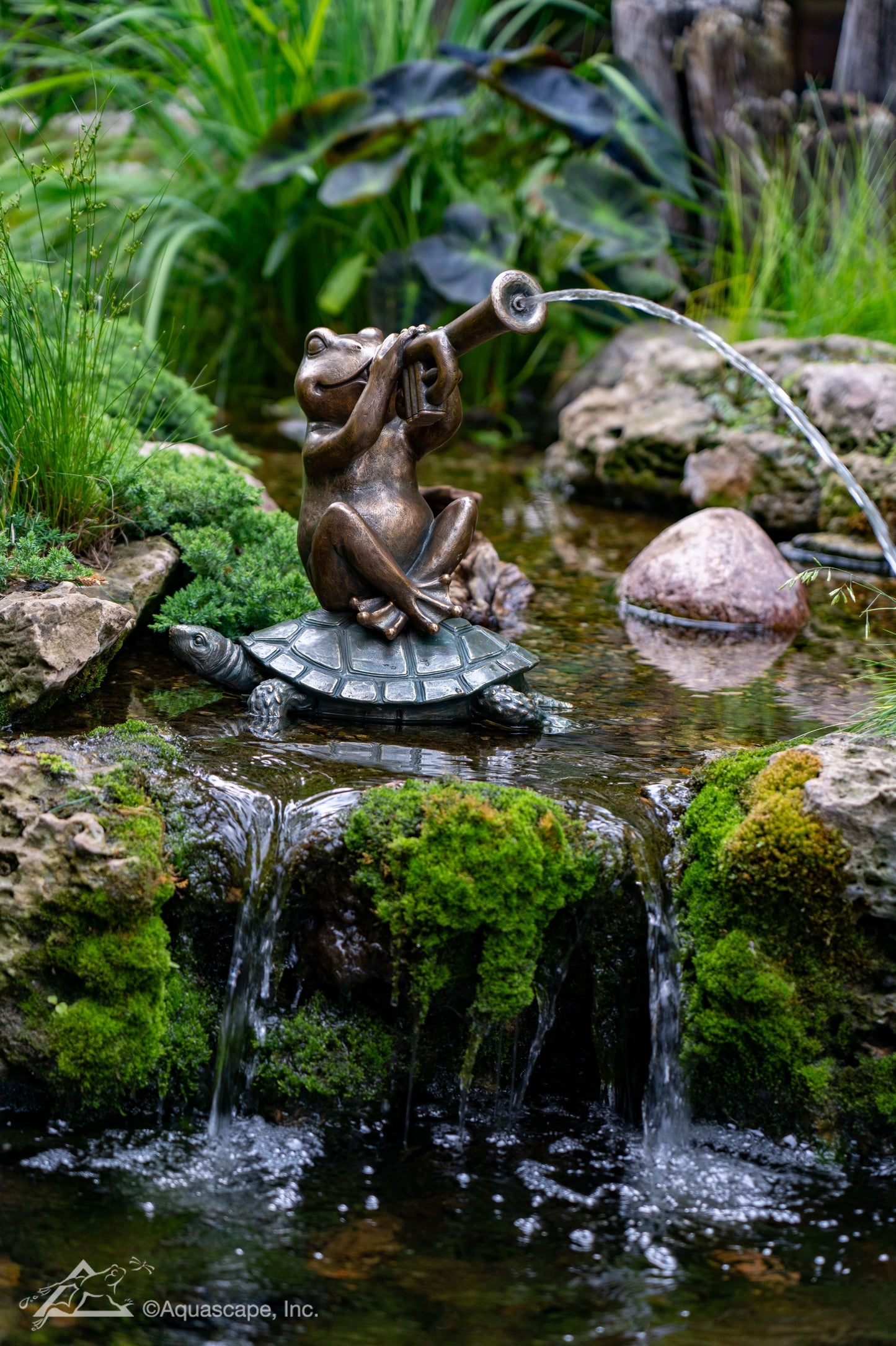 Aquascape JAZZ FROG SPITTER