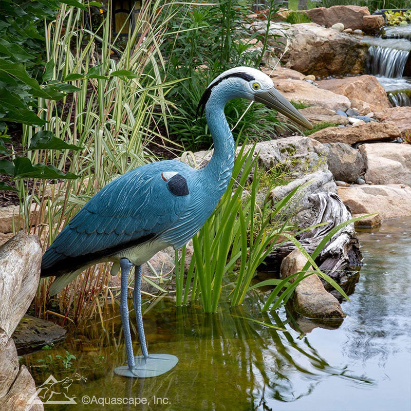 Aquascape BLUE HERON DECOY