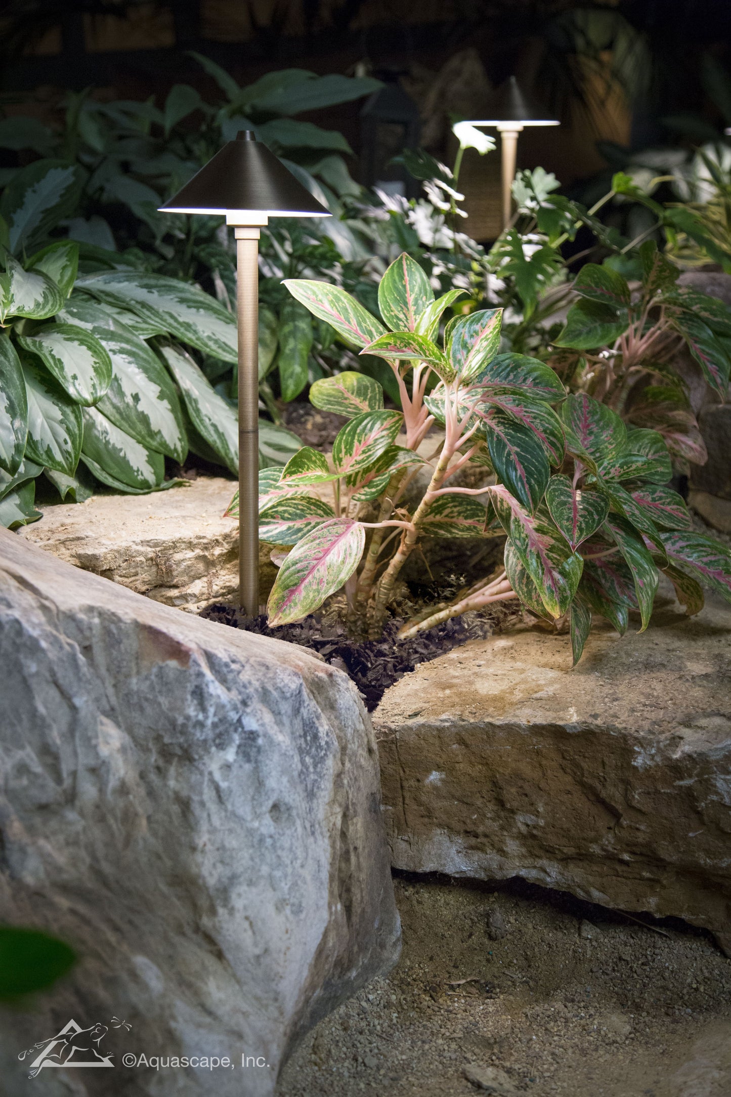 Aquascape DOME TOP PATH AND AREA LANDSCAPE LIGHT