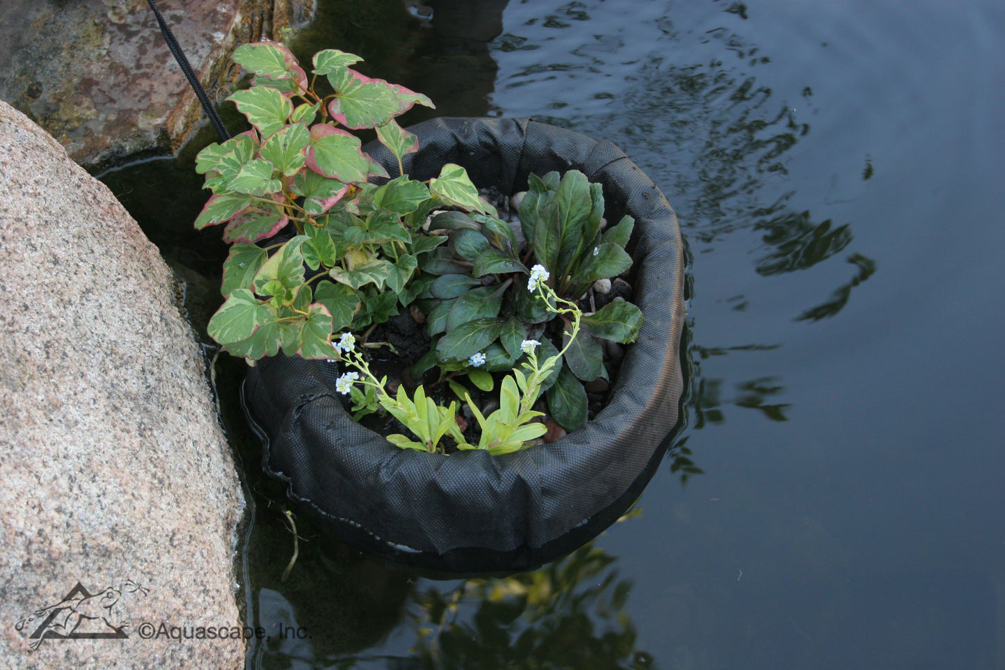 Aquascape FLOATING PLANT ISLAND