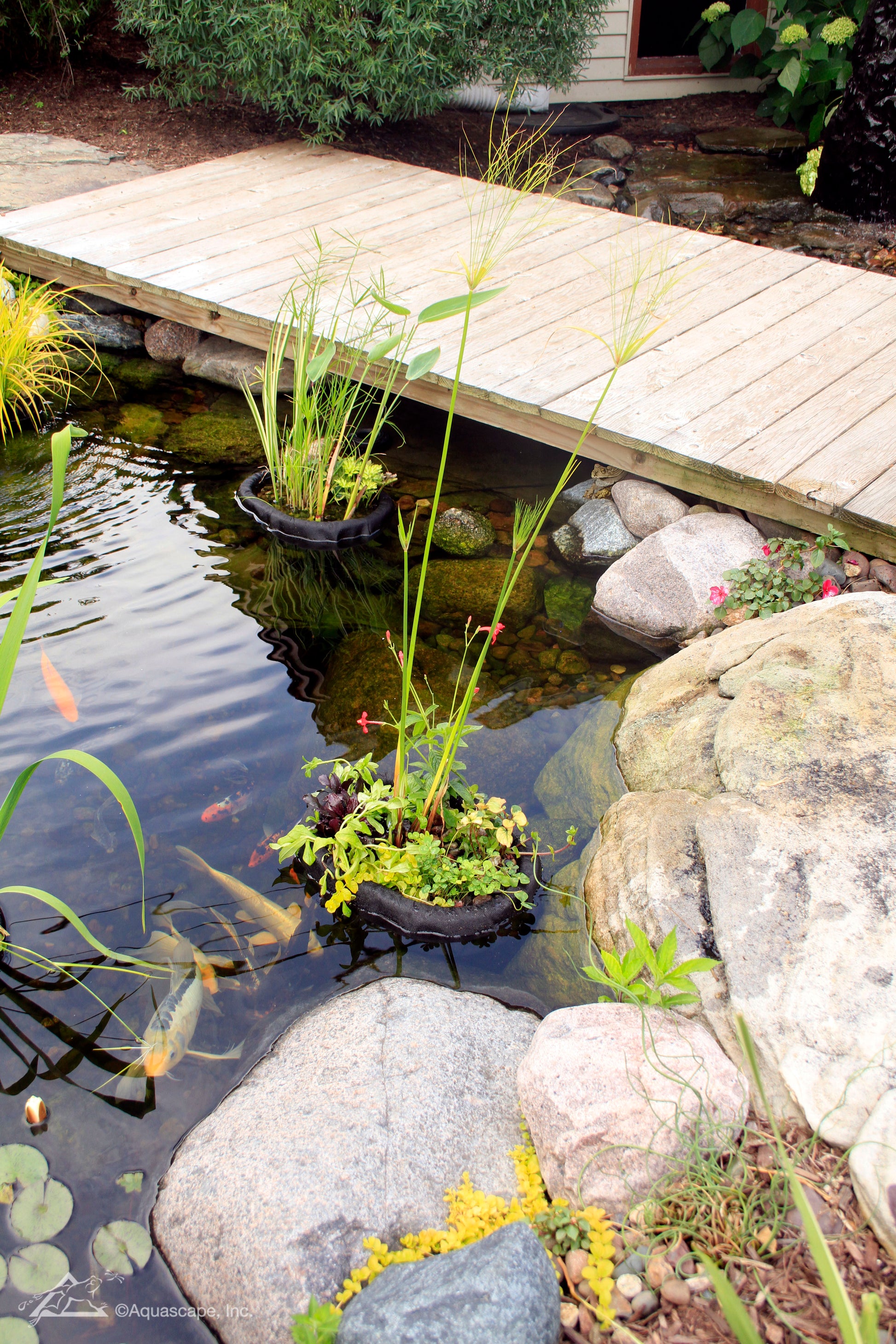 Aquascape FLOATING PLANT ISLAND