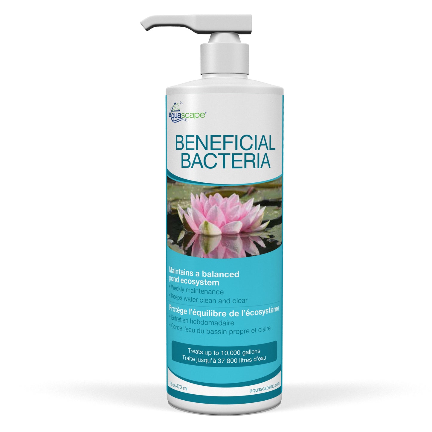 Aquascape BENEFICIAL BACTERIA - 16 OZ / 473 ML