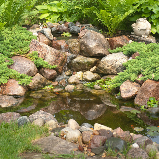 Aquascape DIY BACKYARD POND KIT 6' X 8'
