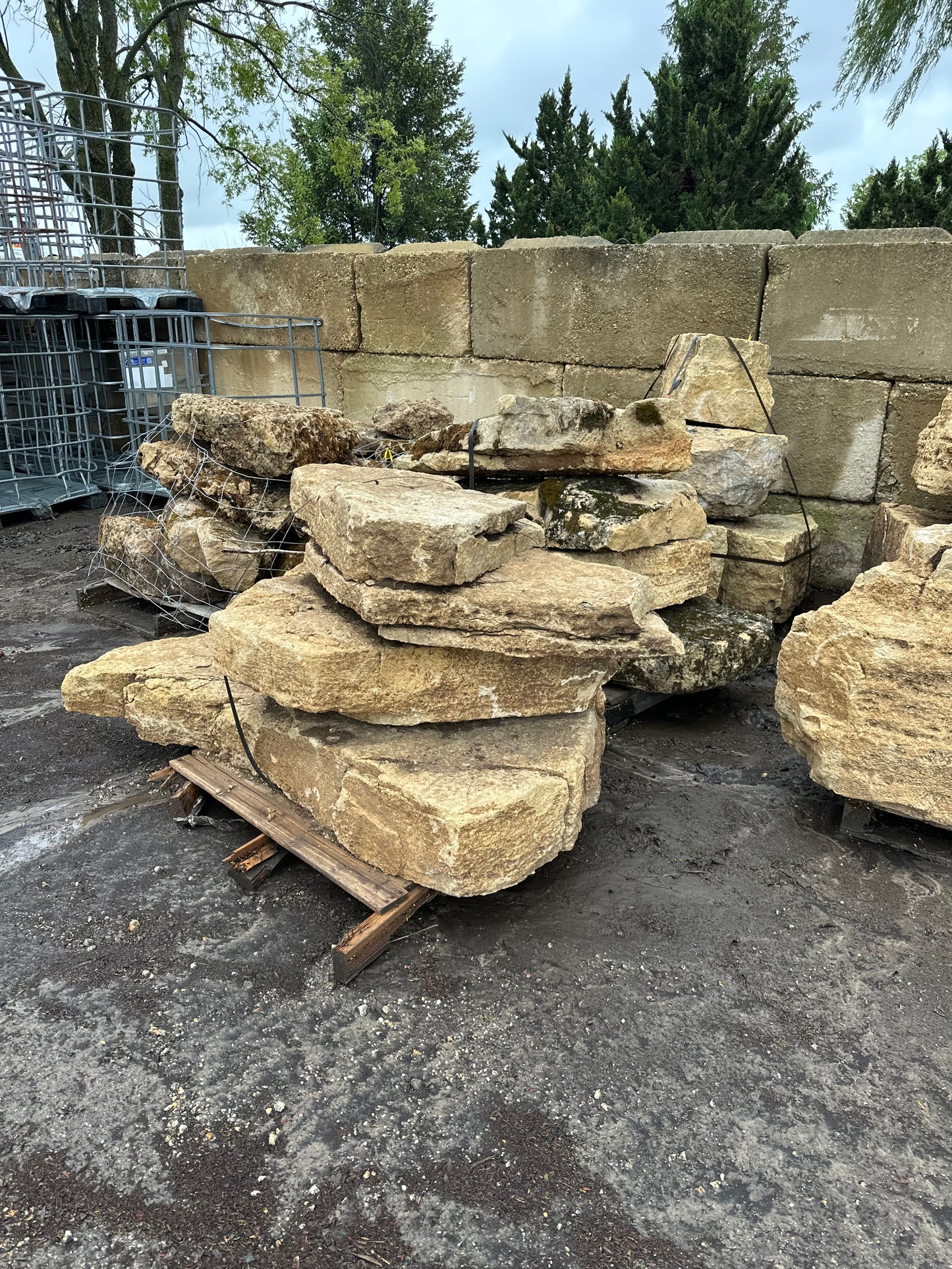 Missouri Weathered Limestone Outcropping