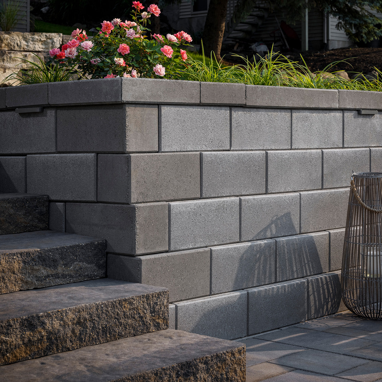 Belgard Foundry Diamond Pro Smooth Corner (Can be split for a $50 fee)