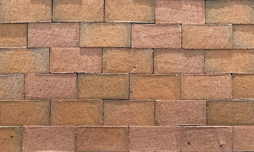 Pine Hall Brick Pathway Rose FR (pink flash)