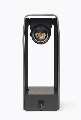 In-Lite WINK