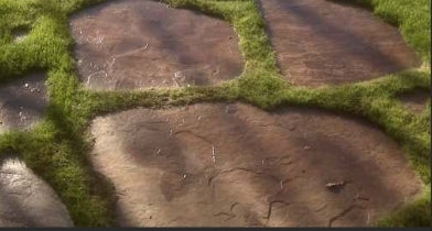 Slabs & Pavers : High Format Superior Steppers 16/pallet TERRAIN - Plt