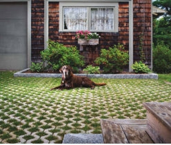 Pavers : Belgard Gray Turfstone