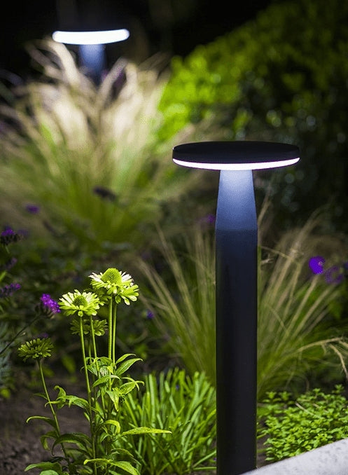 In-Lite DISC