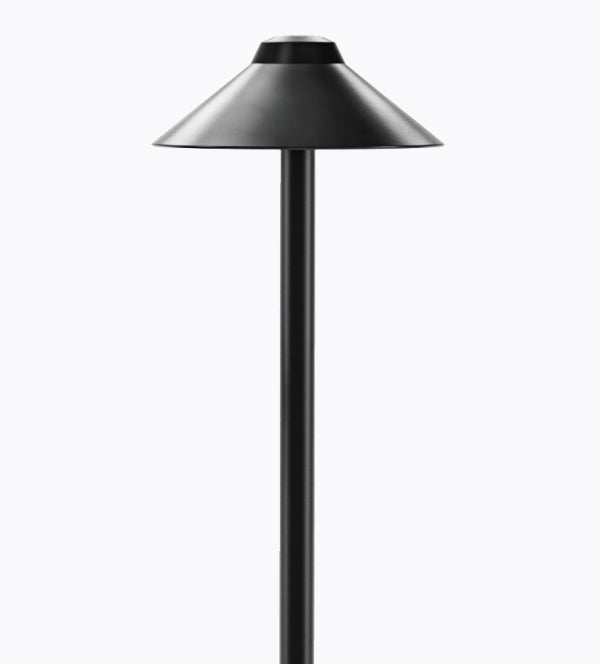 In-Lite NAIL