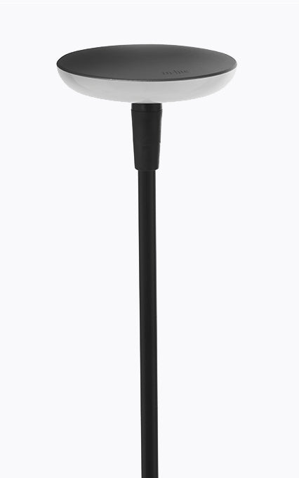 In-Lite SWAY Black