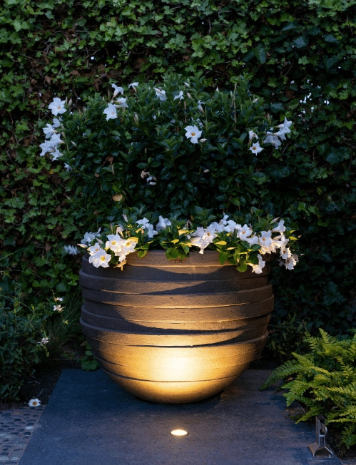 In-Lite LUNA Black