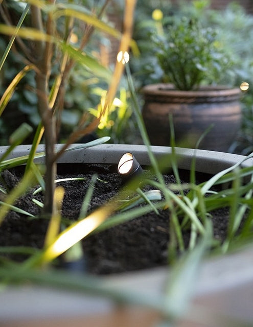 In-Lite MINI SCOPE
