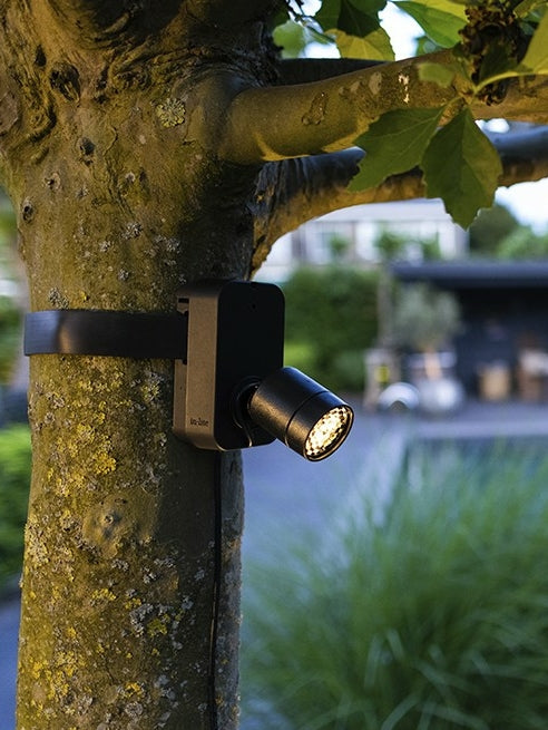 In-Lite BRACE
