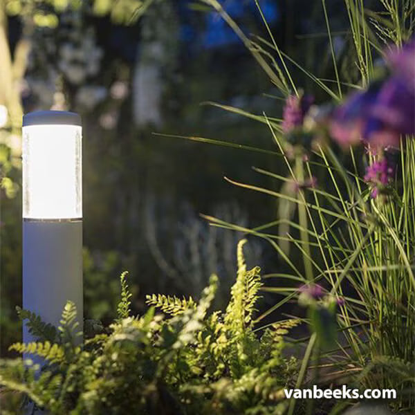 In-Lite LIV LOW Rosé Silver