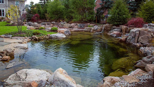 Aquascape RECREATIONAL POND KIT - 19' X 24'
