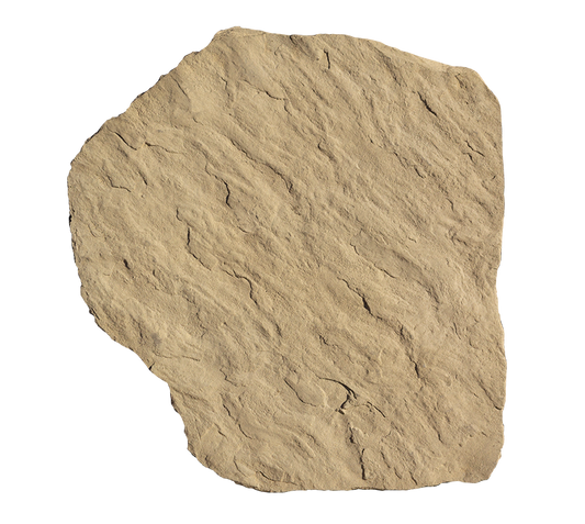 ROCHESTER STEPPING STONES BUFF