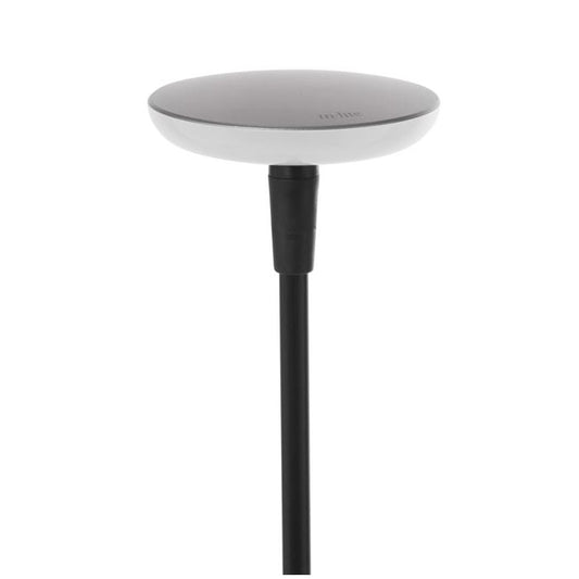 In-Lite SWAY EXTRA LOW Pearl Grey
